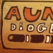 (c) Didgeridoo.com.br